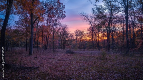 Twilight in an autumn forest with colorful leaves and dramatic skies at sunset