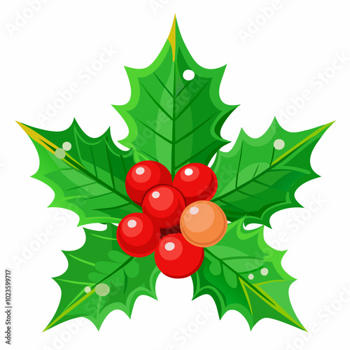 Christmas Holly with Red Berries and Green Leaves, Evergreen, Isolated on White Background. Silhouette vector illustration image