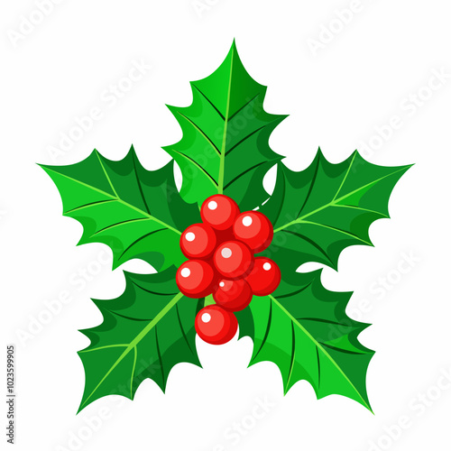 Christmas Holly with Red Berries and Green Leaves, Evergreen, Isolated on White Background. Silhouette vector illustration image