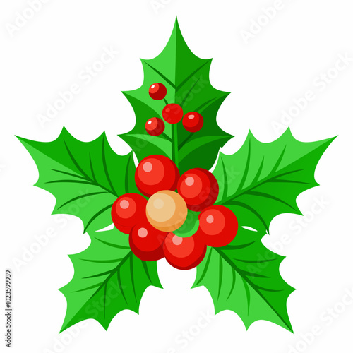 Christmas Holly with Red Berries and Green Leaves, Evergreen, Isolated on White Background. Silhouette vector illustration image