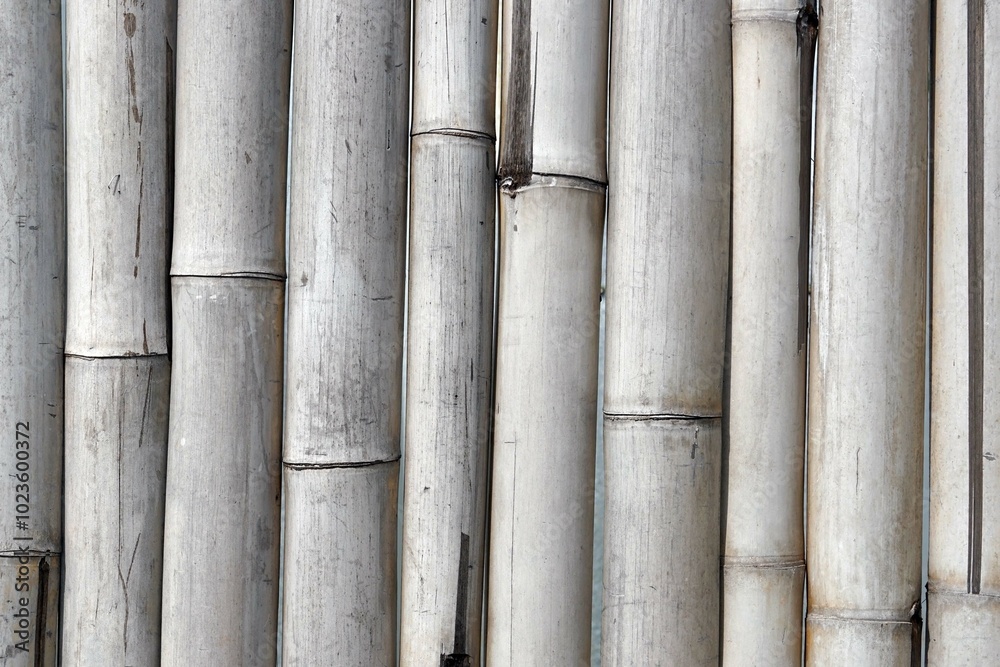 Old bamboo texture background surface with old natural pattern. Old bamboo texture background surface with old natural pattern.
