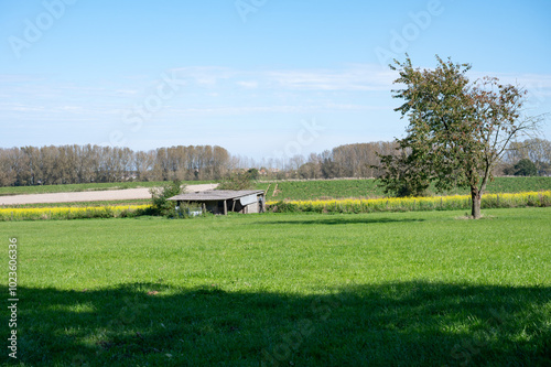 Green farmland at the Flemish countryside in Zottegem, East Flemish Region, Belgium photo