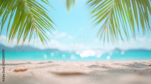 A tranquil beach with soft sand, clear turquoise water, and a gentle breeze rustling through the palm trees, offering a sense of peace and tranquility.
