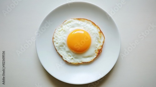 Fried Egg on a White Plate