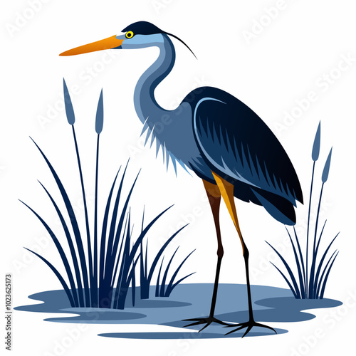 A heron standing in the marsh silhouette vector illustration on white background