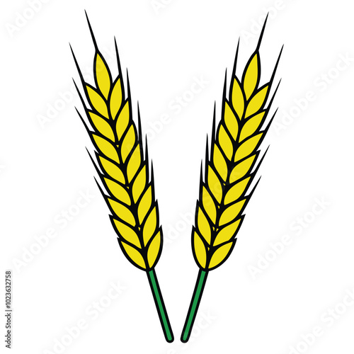 wheat colorful vector illustration.