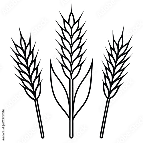 wheat liner art vector.