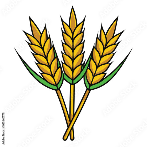 wheat colorful vector illustration.