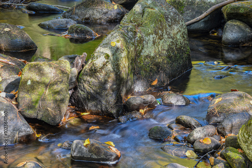 trap falls brook  cascading through  the  state forest, photo