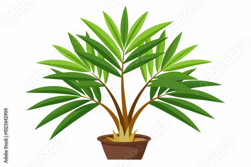 Decorative houseplant planted in ceramic pot garden potted plants isolated vector illustration