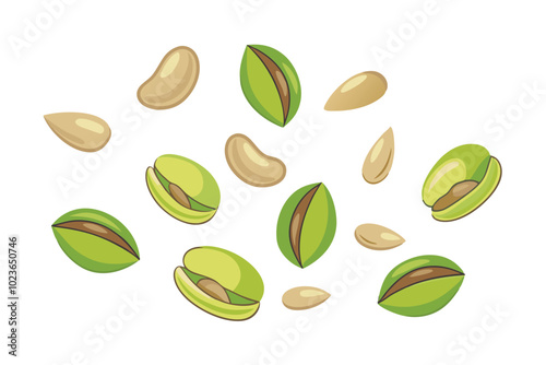 Isolated Falling Pistachio Nuts Flat Vector Illustration Set on White Background.