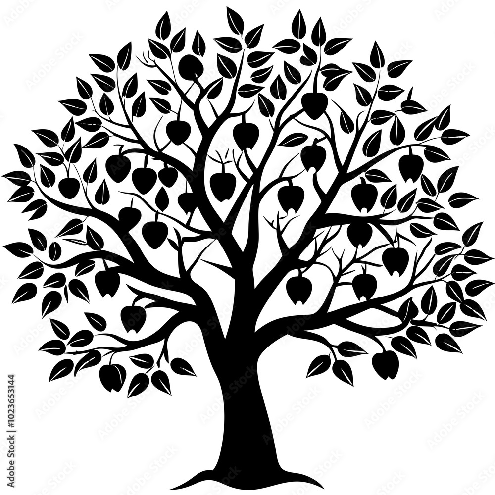 Obraz premium apricot-tree-silhouette