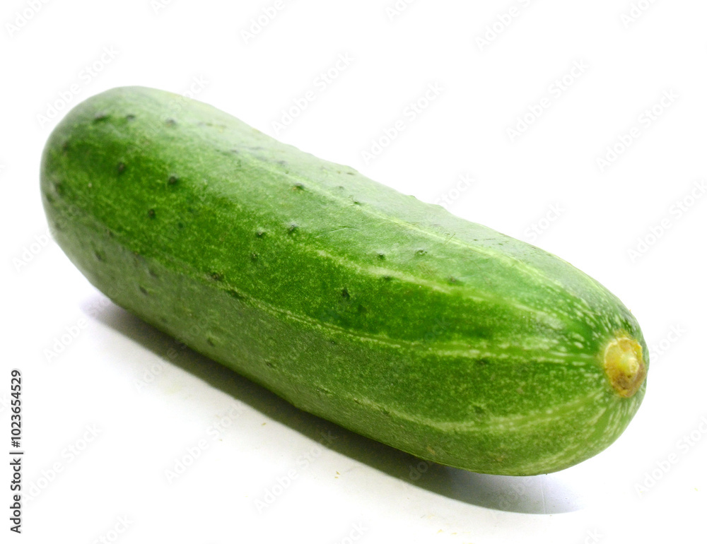 Courgettes (Cucurbita pepo), whole and cut, on white - stock photo
Courgettes (Cucurbita pepo), whole and cut, on white - stock photo