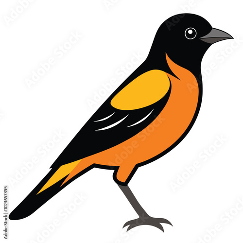 Solid color Orchard Oriole animal vector design