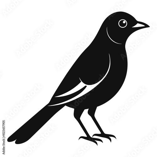 Solid color Orchard Oriole animal vector design