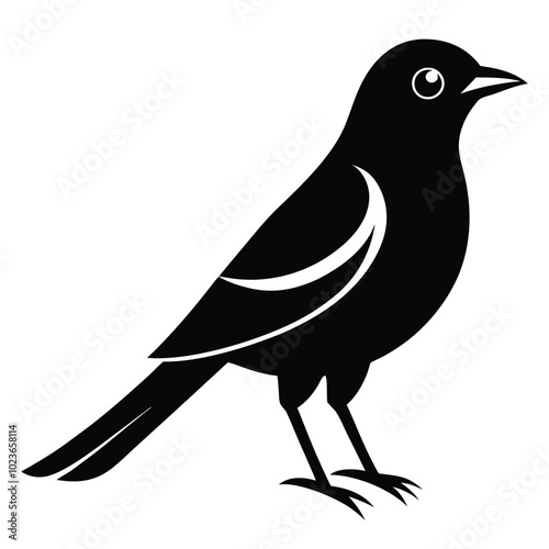 Solid color Orchard Oriole animal vector design