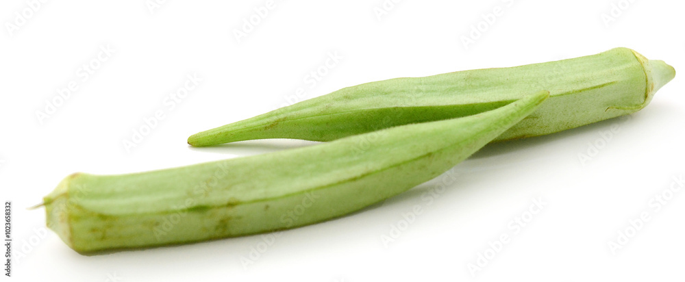 Snap Peas on a white background (pisum sativum) - stock photo
Snap Peas on a white background (pisum sativum) - stock photo