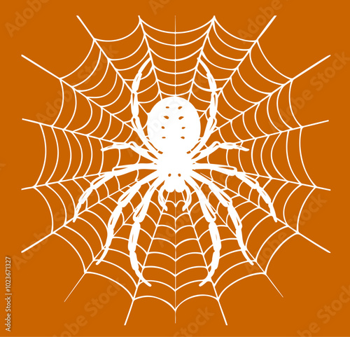 Spinne Spider Tarantula Silhouette Insekt