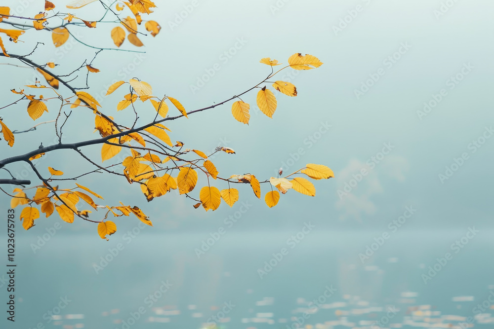 A tree branch with yellow leaves is in front of a body of water A tree branch with yellow leaves is in front of a body of water