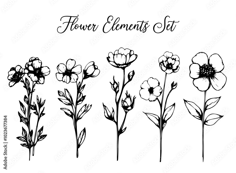 Fototapeta premium Blumen Set Flower Karte