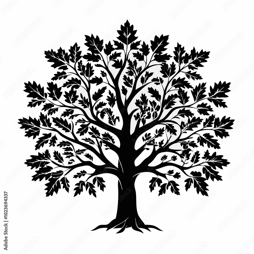 Fototapeta premium bur-oak-tree-silhouette