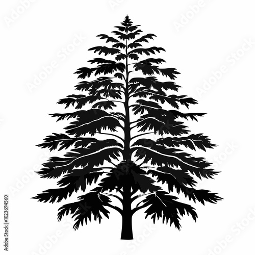 Canadian-hemlock-tree-silhouette