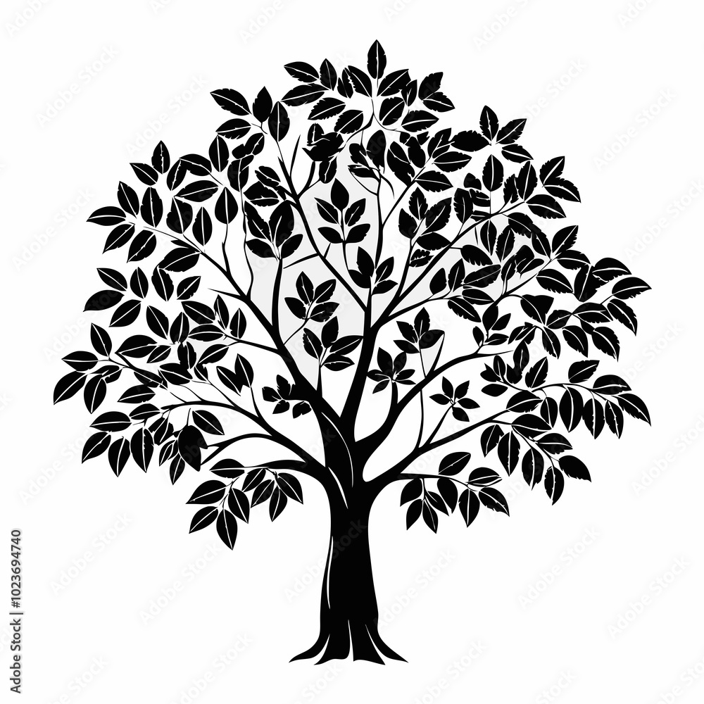 Fototapeta premium brazilwood-tree-silhouette