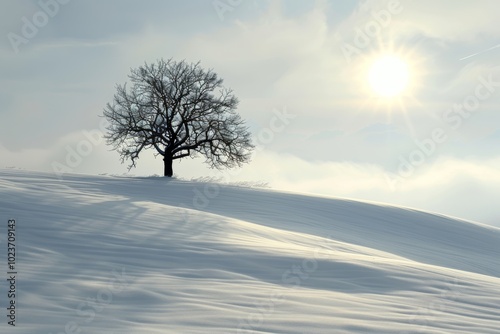 A lone tree stands in the snow on a hill. The sun is shining brightly, casting a warm glow on the scene