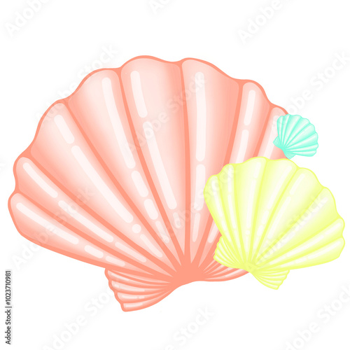 seashell isolated on white background, seashell isolated on white, for pearl necklace, shell, seashell, shellfish, orange shellfish, accessories, decoration, sea, beach, fun, scallop, orange, art, pn photo