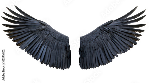 Obraz na płótnie Dark Angel Wings on White Background: Glossy Black Feathers with Blue Sheen, Mystical Design Element w salonie