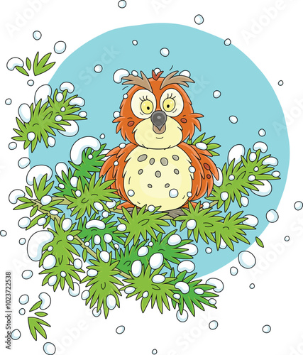 Wise northern owl with larg...