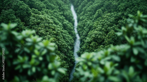 An aerial perspective capturing the majestic scene of a densely packed green forest canopy, with the tree tops creating a natural pattern against a perfectly aligned yet gently winding river. photo