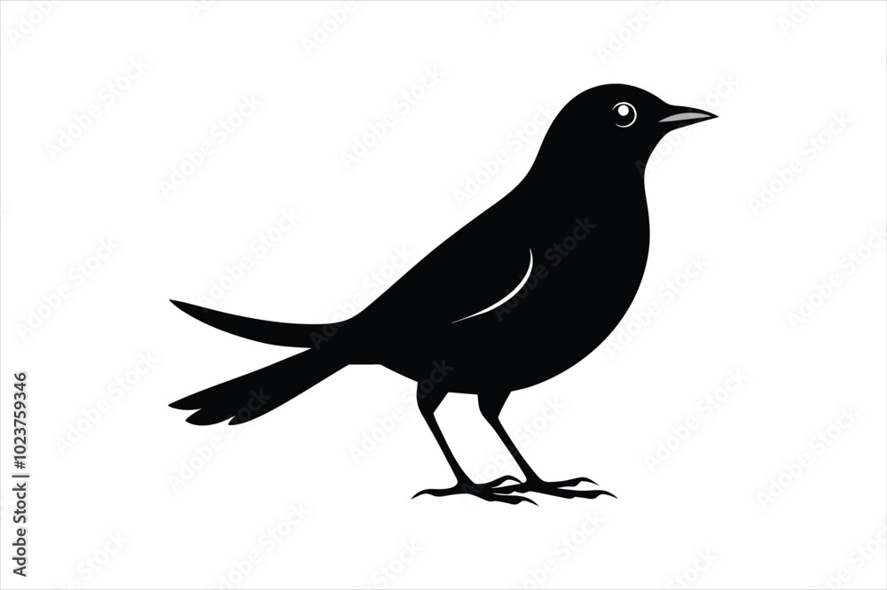 Obraz premium Thrush bird silhouette black vector art illustration.