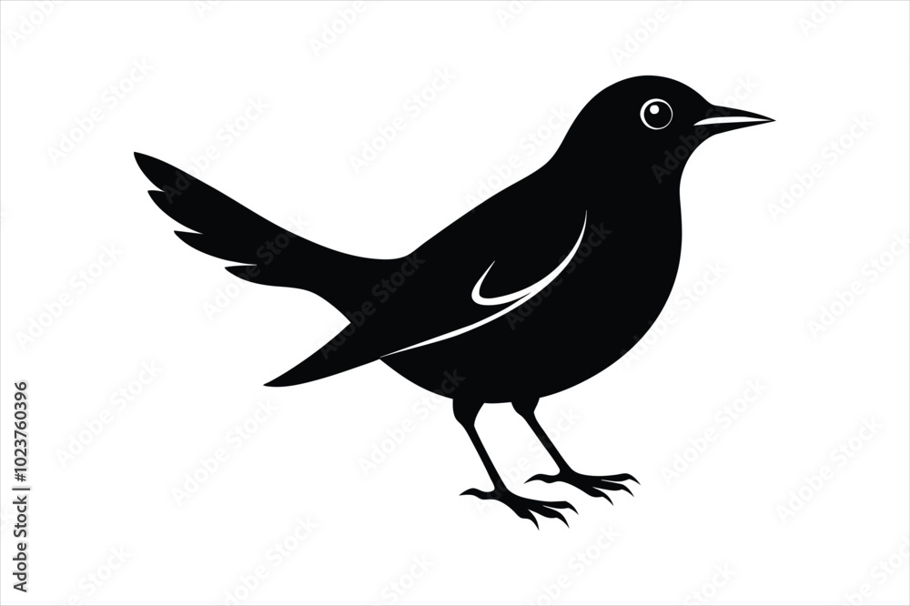 Fototapeta premium Thrush bird silhouette black vector art illustration.
