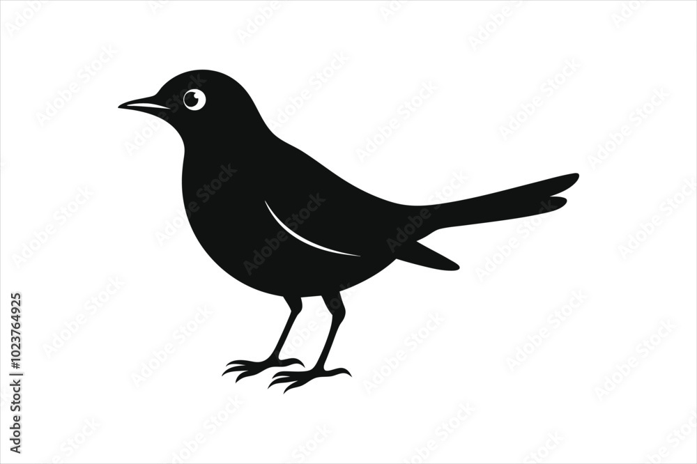Obraz premium Thrush bird silhouette black vector art illustration.