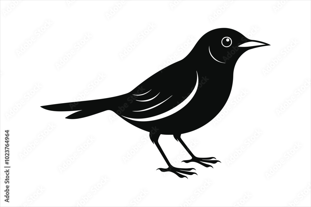 Obraz premium Thrush bird silhouette black vector art illustration.