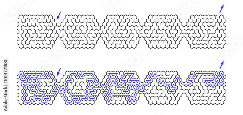 Long labyrinth composed of 5 connected hexagonal mazes. Black and white riddle of medium complexity with solution. Nice brainstorm puzzle. Intermediate difficulty level
