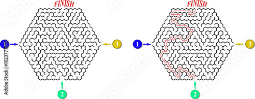 Advanced vector hexagonal labyrinth with three entrances and only one way to finish. Find the right way and reach the exit of the maze. Mental educational game with clue.