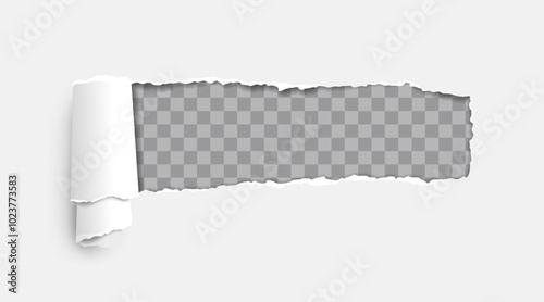 Torn paper effect. Hole in page. Handmade blank cardboard paper. Poster with torn hole and rolled edge. Texture and background. Realistic vector illustration isolated on transparent background