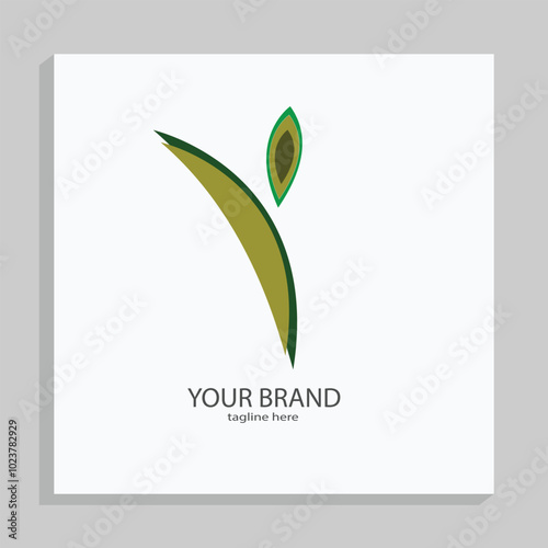 Y  letter branding logo design with a leaf
 photo