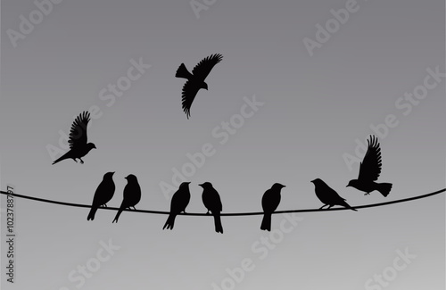 Birds sitting on wires and flying nearby. The silhouette of birds against the sky. EPS 10 flat vector illustration.