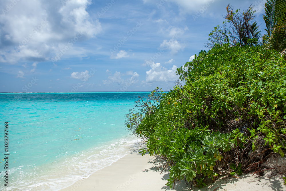 Unwind on the beautiful Maldives shoreline, surrounded by lush plants and inviting, crystal-clear waters. Unwind on the beautiful Maldives shoreline, surrounded by lush plants and inviting, crystal-clear waters.