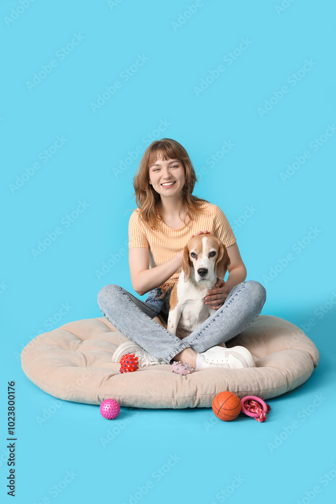 Young woman stroking cute beagle dog and toys on pet bed against blue background Young woman stroking cute beagle dog and toys on pet bed against blue background