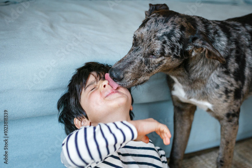 close-up view of dog licking the face of the child in striped clothes