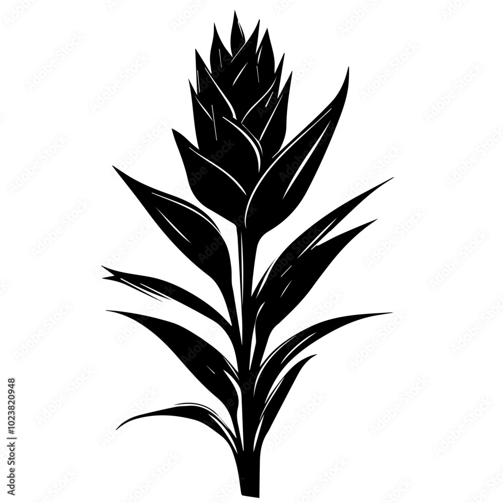 Bromeliad Plant Black Vector Illustration, Black Silhouette of Tropical Flower Bromeliad Plant Black Vector Illustration, Black Silhouette of Tropical Flower