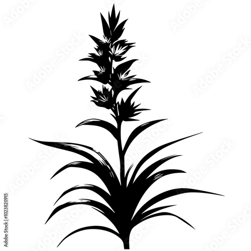 Bromeliad Plant Black Vector Illustration, Black Silhouette of Tropical Flower