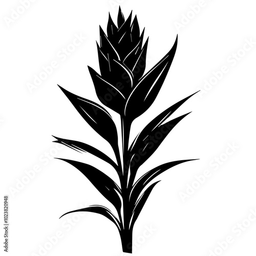 Bromeliad Plant Black Vector Illustration, Black Silhouette of Tropical Flower