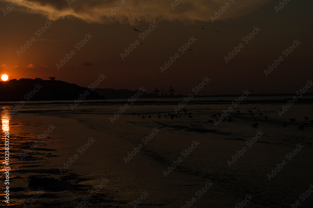 Fototapeta premium photographs of beautiful nature landscapes, from majestic mountains to serene sunsets