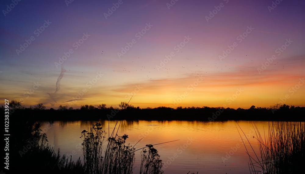 Obraz premium Beautiful sunset over a marsh pond with reeds in foreground