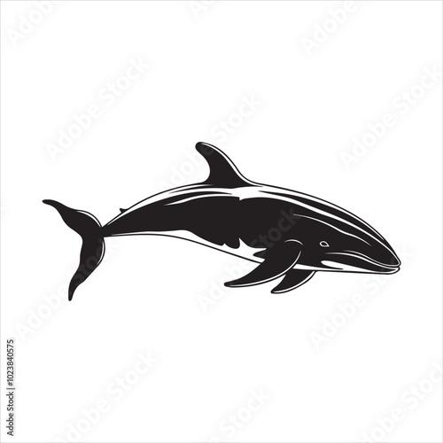 black whale,fish, dolphin, shark, animal, sea, vector, ocean, blue, cartoon, illustration, white, isolated, water, mammal, marine, fin, underwater, silhouette, nature, art, swimming, wildlife, black, 